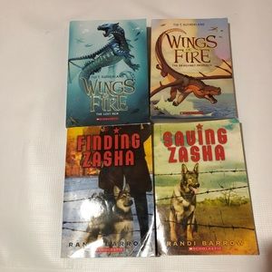 Boys(tween) book bundle